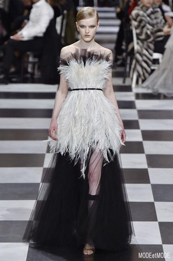 Christian Dior ss18 Haute Couture