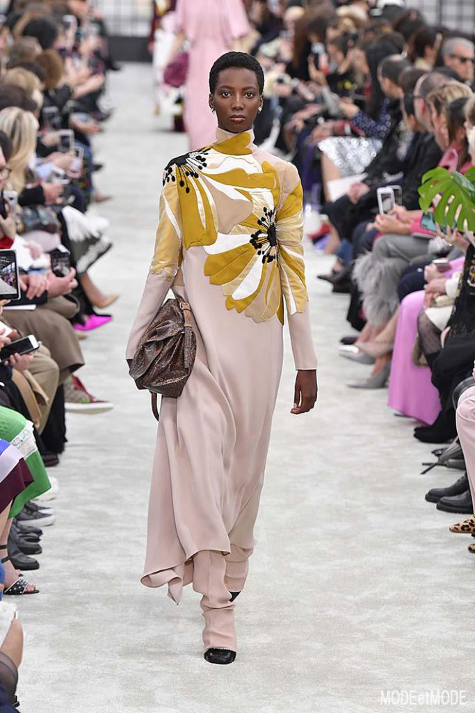 Valentino Paris Womenswear Fall Winter 2018-2019 Paris February/March 2018
