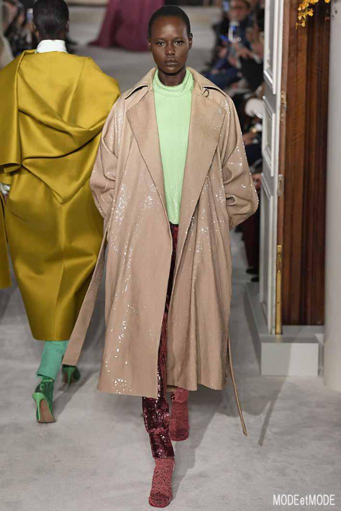 Valentino Haute Couture Spring Summer 2019 Paris Jan 2019