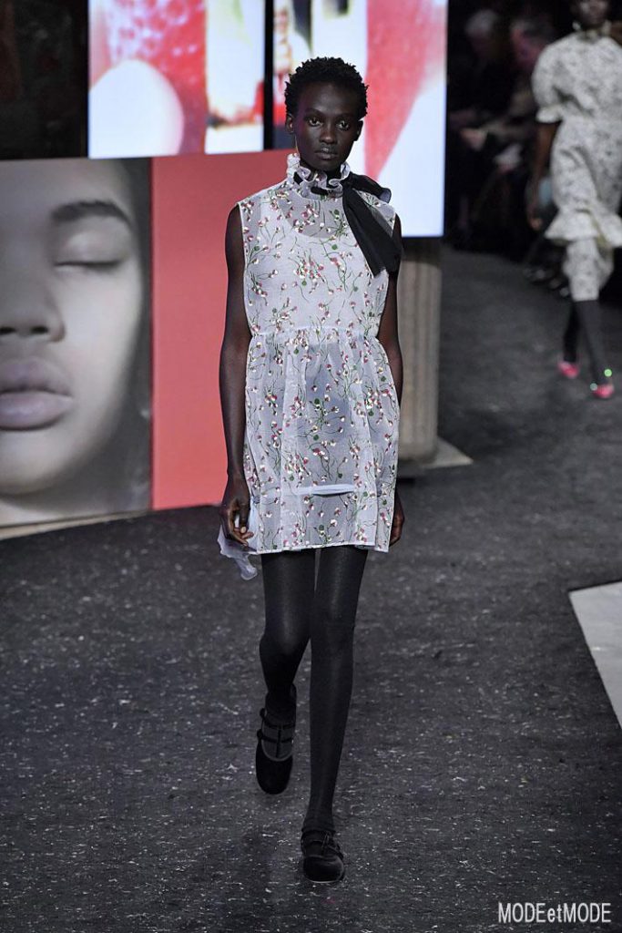 Miu Miu Paris Fashion Week RTW FW19_20 – Paris – Feb/Mar 2019