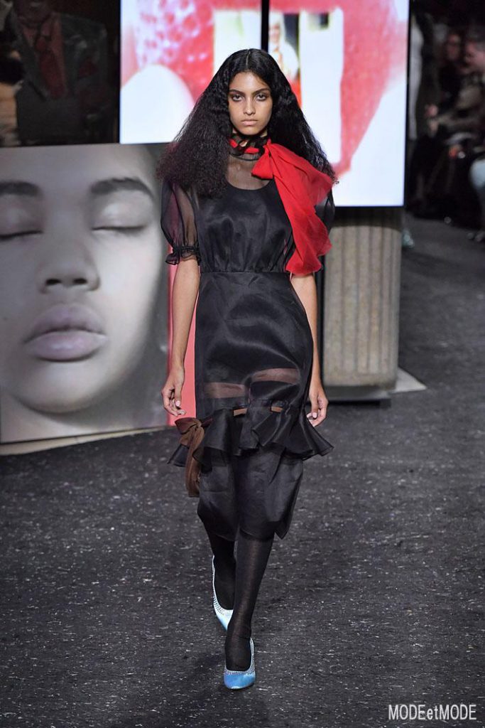 Miu Miu Paris Fashion Week RTW FW19_20 – Paris – Feb/Mar 2019