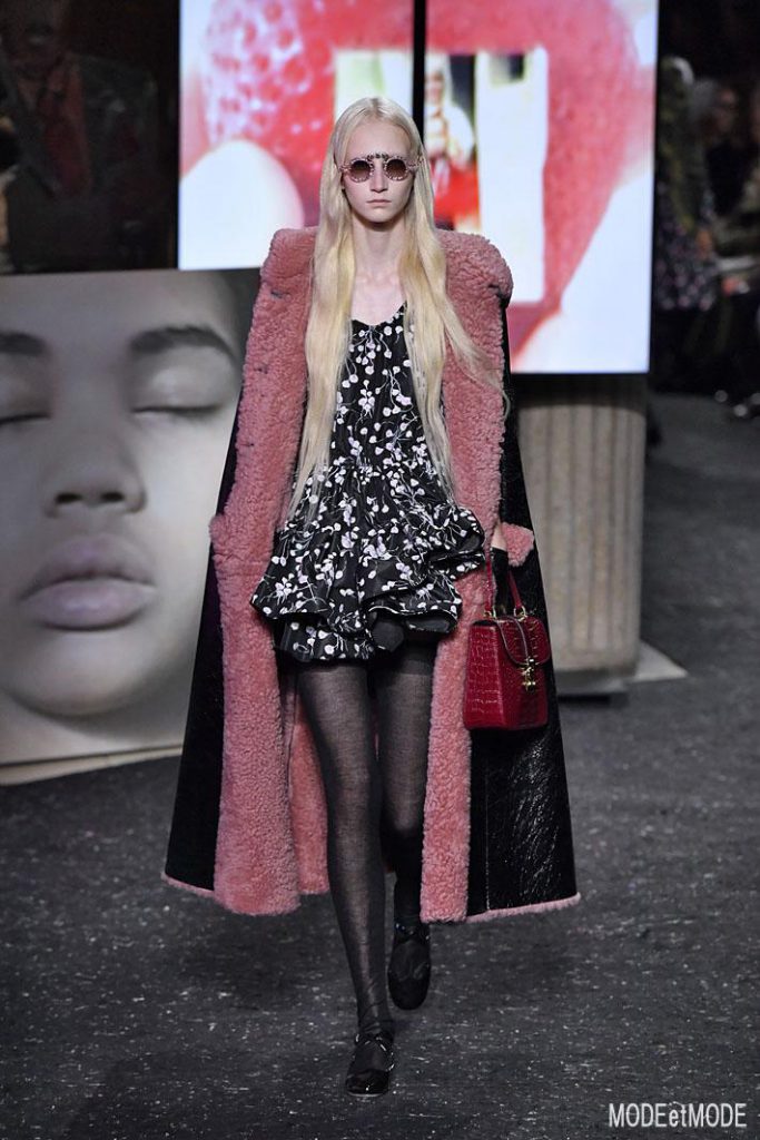 Miu Miu Paris Fashion Week RTW FW19_20 – Paris – Feb/Mar 2019